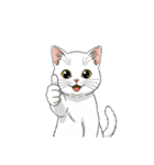 【グッドサイン猫 3】（個別スタンプ：6）