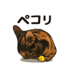 サビニャン（個別スタンプ：3）