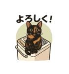 サビニャン（個別スタンプ：5）