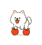 りんごとポメラニアン（個別スタンプ：1）