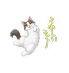動くネコちゃんのかわいいポーズ！（個別スタンプ：6）