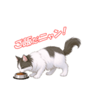 動くネコちゃんのかわいいポーズ！（個別スタンプ：8）
