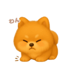 ワンだふる｜ポメラニアン（個別スタンプ：13）