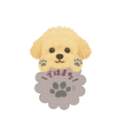 毎日使える犬スタンプ ˎˊ˗（個別スタンプ：9）
