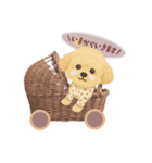 毎日使える犬スタンプ ˎˊ˗（個別スタンプ：11）