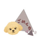 毎日使える犬スタンプ ˎˊ˗（個別スタンプ：12）