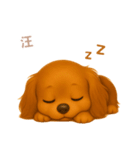 ワンだふる｜ダックスフンド【台湾語】（個別スタンプ：4）