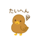 カルガモ親子日本語バージョン（個別スタンプ：1）
