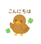 カルガモ親子日本語バージョン（個別スタンプ：4）
