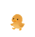 カルガモ親子日本語バージョン（個別スタンプ：11）
