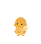 カルガモ親子日本語バージョン（個別スタンプ：12）