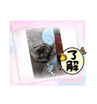リアクション-10（個別スタンプ：2）