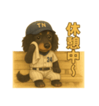 野球✖︎トニー（個別スタンプ：5）