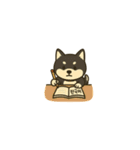 黒柴ナナちゃんと資格試験（個別スタンプ：1）