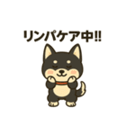 黒柴ナナちゃんと資格試験（個別スタンプ：2）