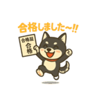 黒柴ナナちゃんと資格試験（個別スタンプ：9）