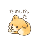 ポメラニアン？！日本語バージョン（個別スタンプ：1）