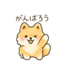 ポメラニアン？！日本語バージョン（個別スタンプ：3）