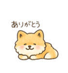 ポメラニアン？！日本語バージョン（個別スタンプ：5）