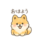 ポメラニアン？！日本語バージョン（個別スタンプ：6）