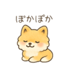 ポメラニアン？！日本語バージョン（個別スタンプ：8）