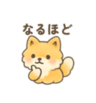 ポメラニアン？！日本語バージョン（個別スタンプ：12）