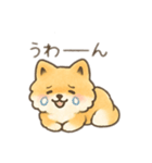 ポメラニアン？！日本語バージョン（個別スタンプ：16）