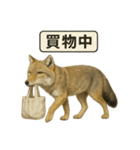 リアルなチベットスナギツネの日常感情表現（個別スタンプ：15）