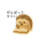ハリネズミさん｜羊毛フェルト風スタンプ（個別スタンプ：9）