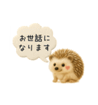 ハリネズミさん｜羊毛フェルト風スタンプ（個別スタンプ：23）