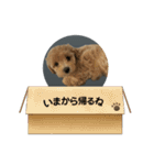 kuu⭐︎（個別スタンプ：4）
