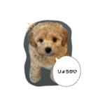 kuu⭐︎（個別スタンプ：22）