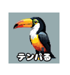 オオハシの南国っぽいスタンプ（個別スタンプ：7）