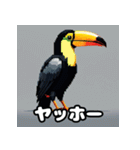 オオハシの南国っぽいスタンプ（個別スタンプ：19）