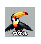 オオハシの南国っぽいスタンプ（個別スタンプ：20）