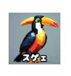 オオハシの南国っぽいスタンプ（個別スタンプ：21）