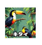 オオハシの南国っぽいスタンプ（個別スタンプ：30）
