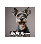 ミニチュアシュナウザーは毎日過ごす（個別スタンプ：1）