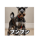 ミニチュアシュナウザーは毎日過ごす（個別スタンプ：4）