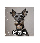ミニチュアシュナウザーは毎日過ごす（個別スタンプ：9）