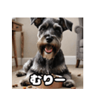 ミニチュアシュナウザーは毎日過ごす（個別スタンプ：14）