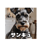 ミニチュアシュナウザーは毎日過ごす（個別スタンプ：15）