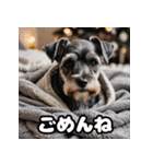 ミニチュアシュナウザーは毎日過ごす（個別スタンプ：16）