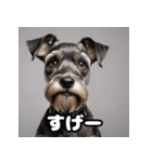 ミニチュアシュナウザーは毎日過ごす（個別スタンプ：18）