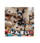 ミニチュアシュナウザーは毎日過ごす（個別スタンプ：20）