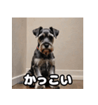 ミニチュアシュナウザーは毎日過ごす（個別スタンプ：23）