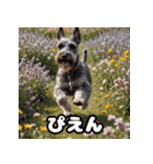 ミニチュアシュナウザーは毎日過ごす（個別スタンプ：25）