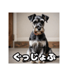 ミニチュアシュナウザーは毎日過ごす（個別スタンプ：27）