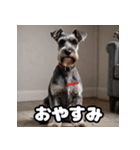 ミニチュアシュナウザーは毎日過ごす（個別スタンプ：28）