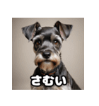 ミニチュアシュナウザーは毎日過ごす（個別スタンプ：32）